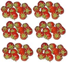 Erdbeeren-6x10.jpg